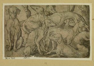 Jagdhundgruppe [aus: Der heilige Eustachius]