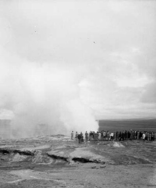 Großer Geysir, Island
