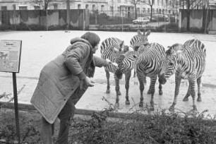 Einführung des Fütterungsverbots für die Tiere im Karlsruher Zoo