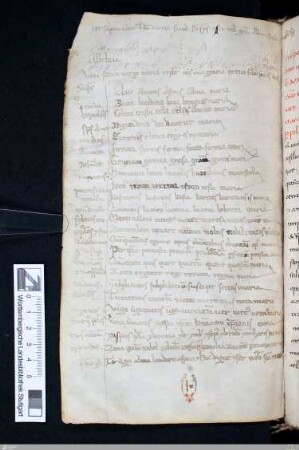 Sequenz, Alleluia, Versus (Einschub 12./13. Jh.)
