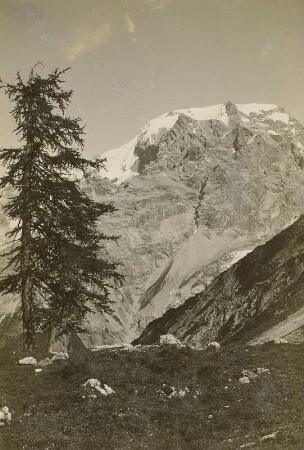 Italien. Ortlergruppe. Ortler (3902 m), von der Stilfser-Joch-Straße gesehen