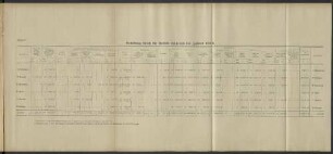 Belastung durch die Unfälle während des Jahres 1919.