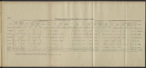 Belastung durch die Unfälle während des Jahres 1919.