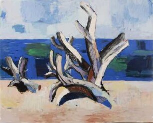 Wurzel am Meer II