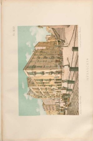 Tav. XCVI. Infrascata