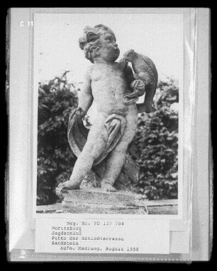 Putto mit Falke