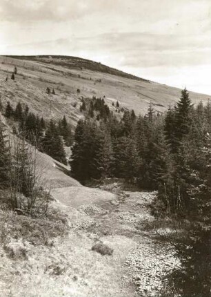 Erzgebirge. Hinterer Fichtelberg (Glimmerschiefer). Blick den Zechengrund abwärts (Naturschutzgebiet). Im Vordergrund ein Grenzstein der ehemaligen Landesgrenze