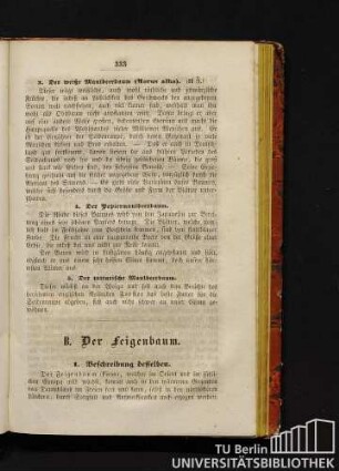 B. Der Feigenbaum.