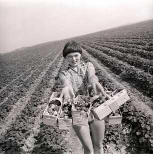 Frau mit Erdbeeren