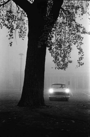 Autofahren im Herbstnebel.