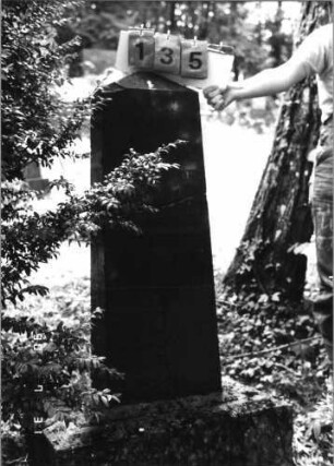 Grabstein 135 (Index: 99790476) Maße HxBxT: 107x30x13 cm Besonderheit: zweiter Grabstein: Nr. 132: Grabstein 135