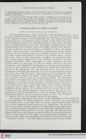 2: Zusammenfassung des definitiven Schädels