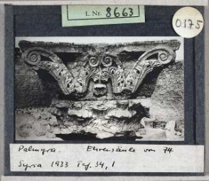 Palmyra: Ehrensäule von 74