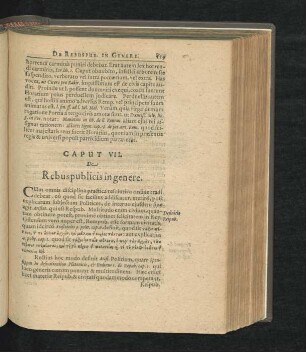 Caput VII. De Rebuspublicis in genere.