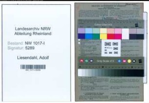 Entnazifizierung Adolf Liesendahl , geb. 17.09.1901 (Einzelhandelskaufmann)