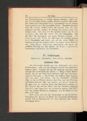 IV. Gehörorgan.