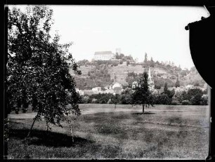Ortsansicht mit der Tauenburg, Foto: Schuster Juli 1915