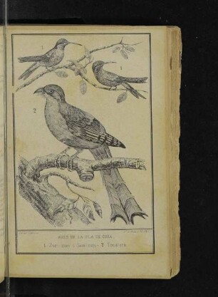 Aves de la isla de Cuba.
