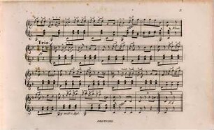 Harlequin-Polka und Ruska : Polka française ; für Zither einger.