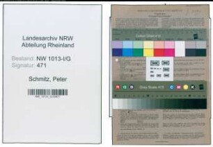 Entnazifizierung Peter Schmitz , geb. 19.08.1908 (Ingenieur)