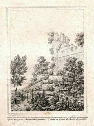Ruinen von dem dicken Thurme des Schlosses von Heidelberg auf dem Abhange des s. g. kurzen Buckels gezeichnet - Ruines de la Gross Tour du château de Heidelberg dessiné sur la pente du Chemin des escaliers