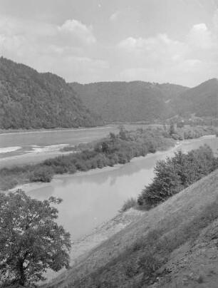 Blick über die Donau