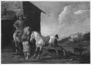 Der stallende Schimmel