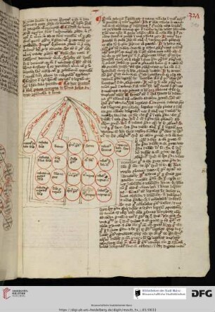 Declaratio arboris consanguinitatis et affinitatis