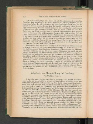 Giftpflanze in der Marienhölzung bei Flensburg