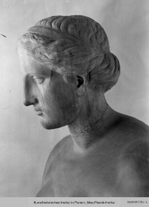 Büste der Venus (nach griechischem Vorbild)