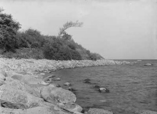 Steilküste : Steilküste an der Ostsee auf der Halbinsel Samland.
