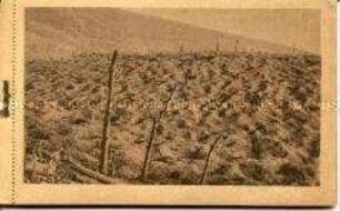 Postkartenblock mit Ansichten von kriegszerstörten Dörfern, Wiesen und Kriegslandschaften