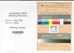 Entnazifizierung Herbert Mehring , geb. 05.07.1908 (Rechtsanwalt)