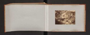 Aufnahme Dr. Fettinger [?]. Im Hain von bet mahsir [Bayt Mahsir]. Dez. 1904. Bedr.