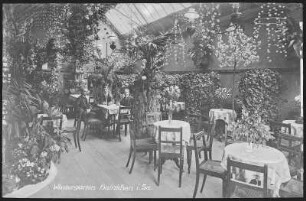 Hainichen. Wintergarten