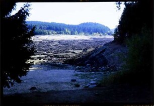 Schluchsee: der leere Schluchsee, leeres Seebecken, Bucht am Ort