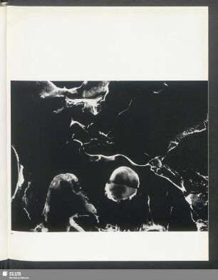 Chaos I. 1948