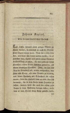 Zehntes Kapitel. Ein freundschaftlicher Besuch. - Fünfzehentes Kapitel. Eine Katastrophe.