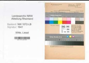 Entnazifizierung Liesel Witte , geb. 23.03.1913 ()