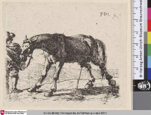 [Das pinkelnde Pferd; The Pissing Horse; Pissend paard]