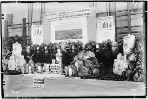 Me Gärtnerei, Rössen, Gartenbauausstellung, B.A.S.F. Stand