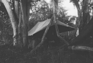 Mein Zelt im Lager Tunduru (Ostafrikaexpedition Hennig-Nowack 1934)