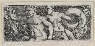 Triton und Nereide