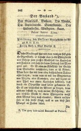 Der Bußard.