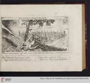 C28. Hagenau, "Undique periculum"