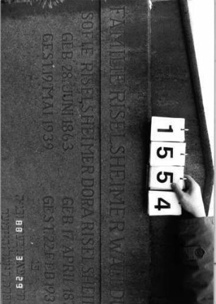 Grabstein 1554 (Index: 99903579) Material: Sandstein Maße HxBxT: 140x124x16 cm Symbolik: Davidstern Besonderheit: Doppelgrab (für Schwestern?): Grabstein 1554 (Detailaufnahme 2)