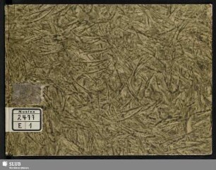 Tantum ergo - Mus.2477-E-1 : V (4), orch, org : E|b