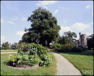 Potsdam, Park Babelsberg, Pleasureground, Blick auf Korbbeet mit Grünpflanzen.