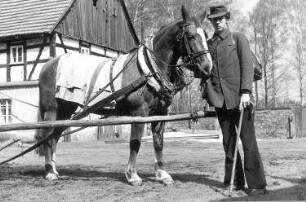 Wittichenau. Schowtschickmühle, Mühlpferd