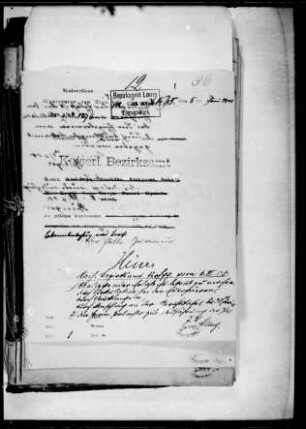 Erhebung von Einfuhrzöllen mit Zolltarif (Verordnung vom 29. Juli 1904, Druck)
